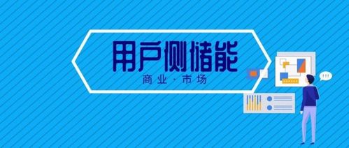 電力輔助服務(wù)市場(chǎng) 是賺錢的藍(lán)海還是虧損的迷局？